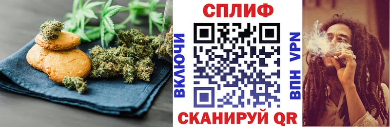 Cannafood конопля Кызыл