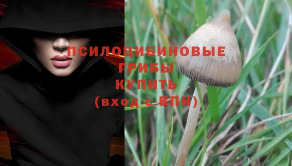 экстази Алзамай