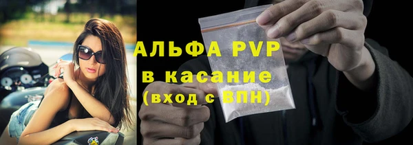 индика Абинск