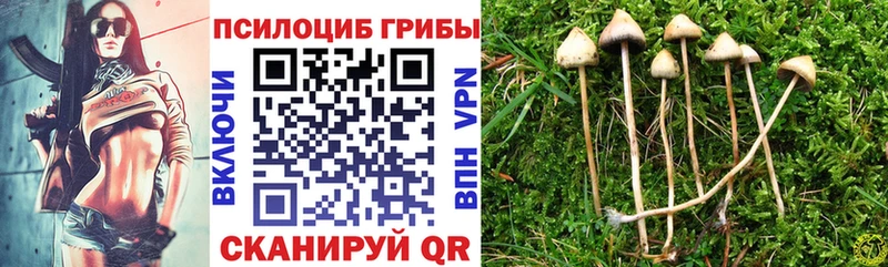 закладка  мориарти состав  Псилоцибиновые грибы MAGIC MUSHROOMS  Кызыл 